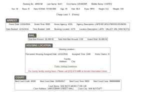 A screenshot from the Los Angeles Sheriff’s Department inmate locator system showing Soulja Boy’s arrest information